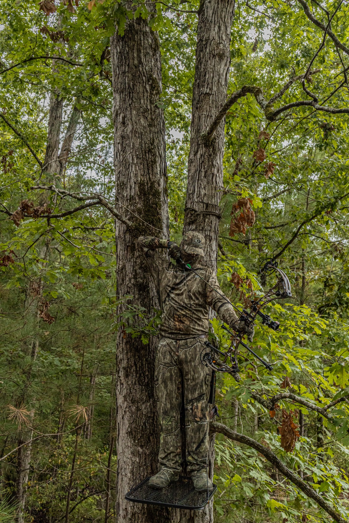 Deer Tree Stand - Best Height for a Blind | Mossy Oak